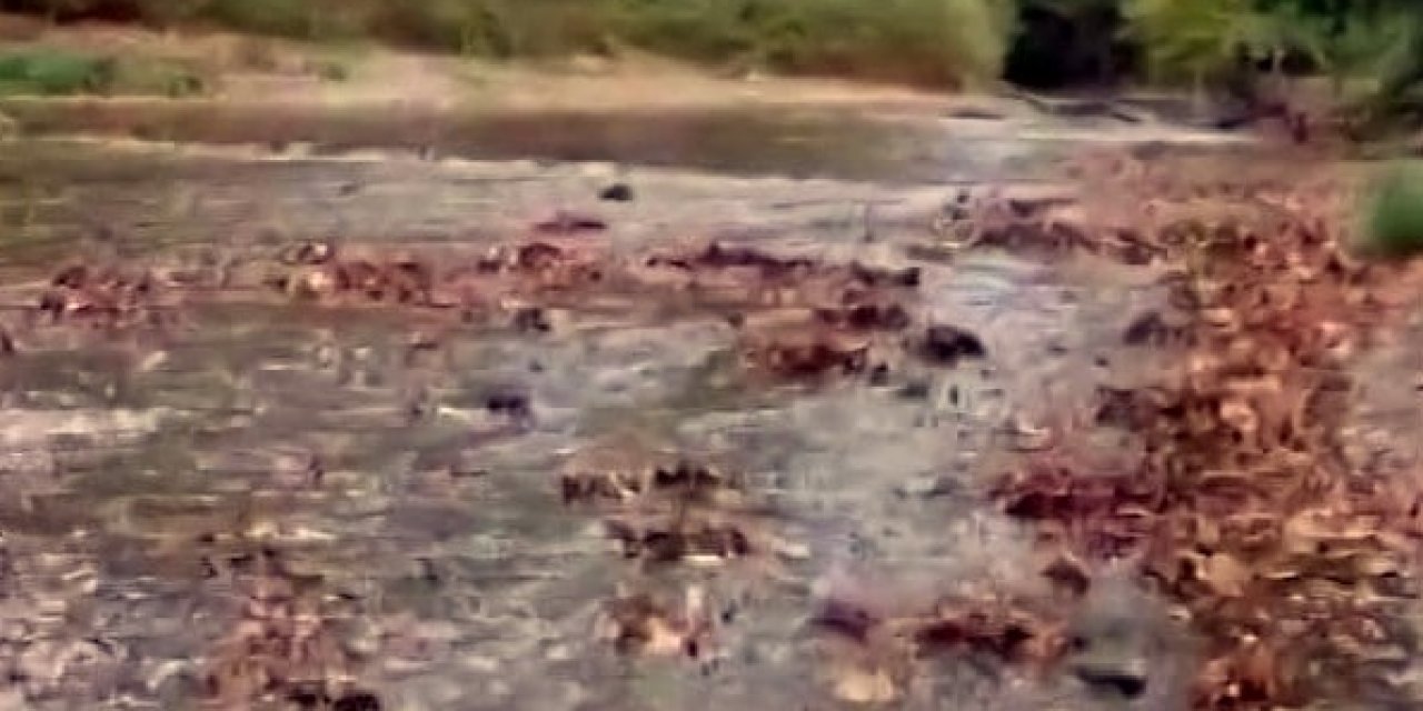 Maden deresi suya tekrar kavuştu