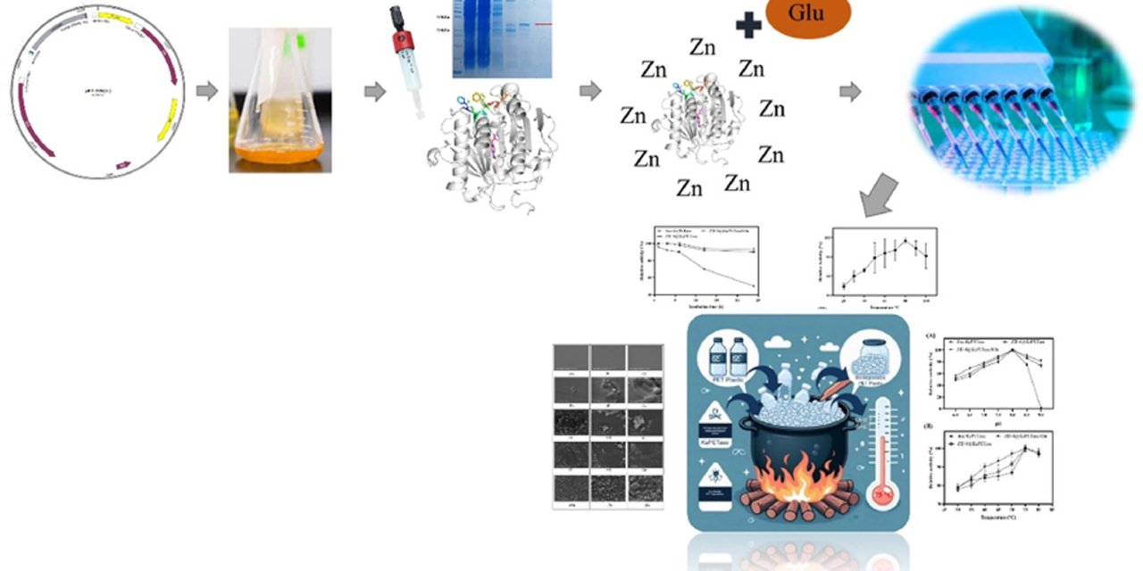 Plastik Atıkların Doğayla Dostça  Çözülmesine Yönelik Yeni Enzim