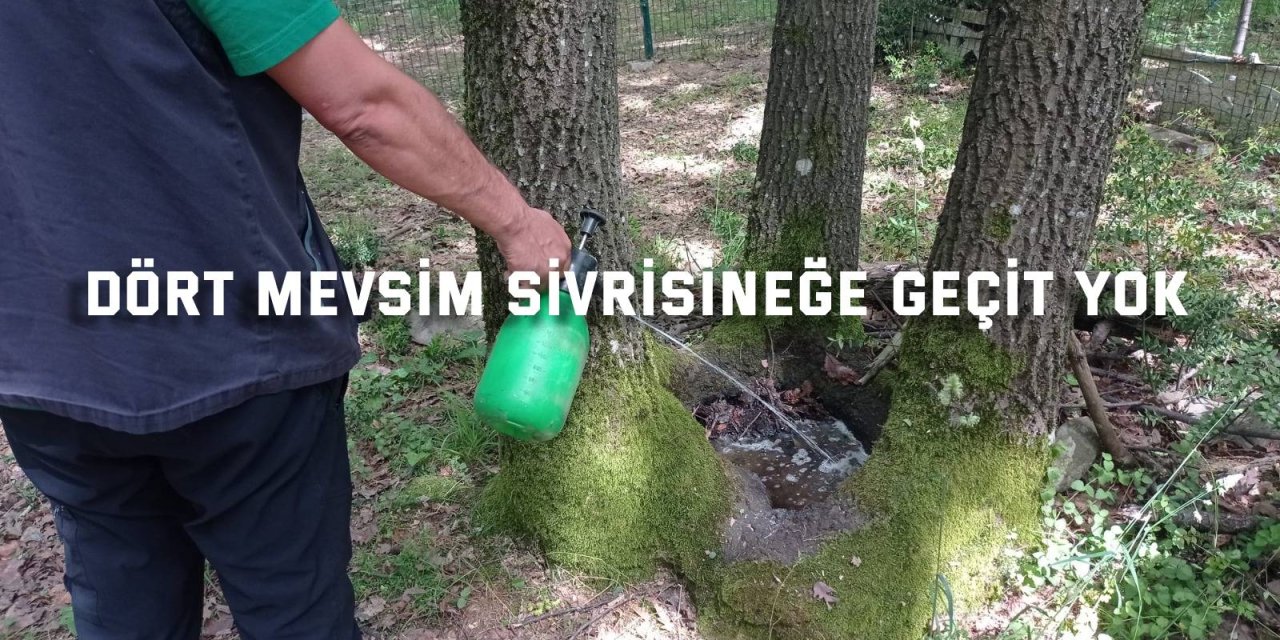 Dört mevsim sivrisineğe geçit yok