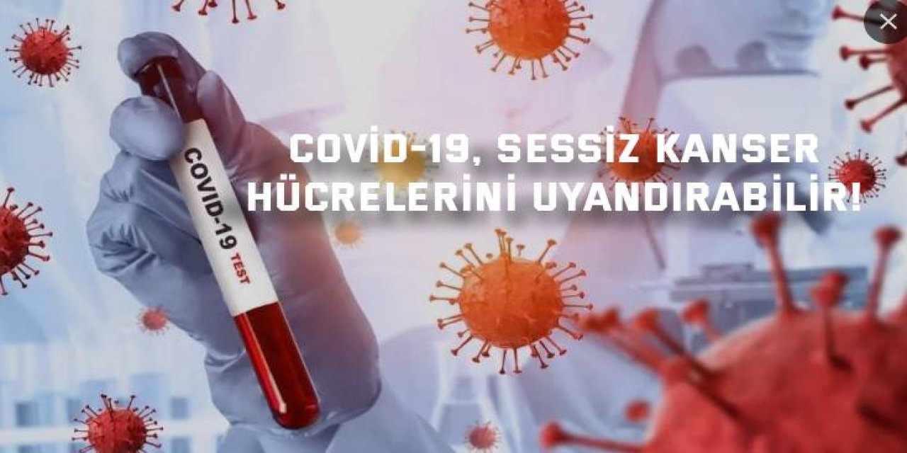 Covid-19, sessiz kanser  hücrelerini uyandırabilir!