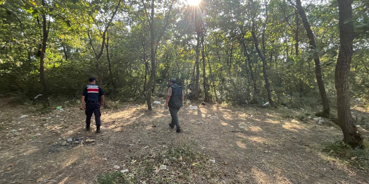 Dilovası'nda Orman Denetimleri