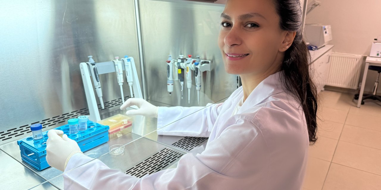 Türkiye’de HIV ile yaşayan her  3 kişiden 1’inde frengi görüldü