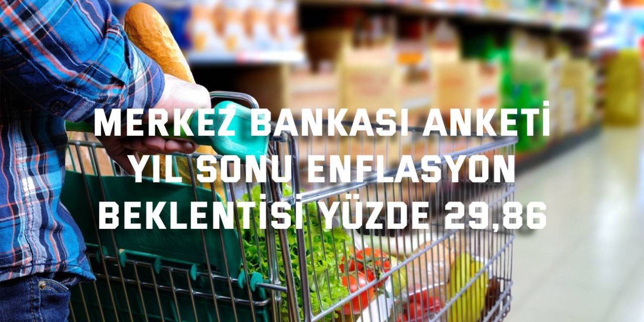 MERKEZ BANKASI ANKETİ    Yıl sonu enflasyon beklentisi yüzde 29,86