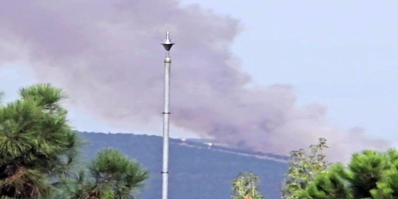 Kocaeli'de ormanlık alanda yangın çıktı