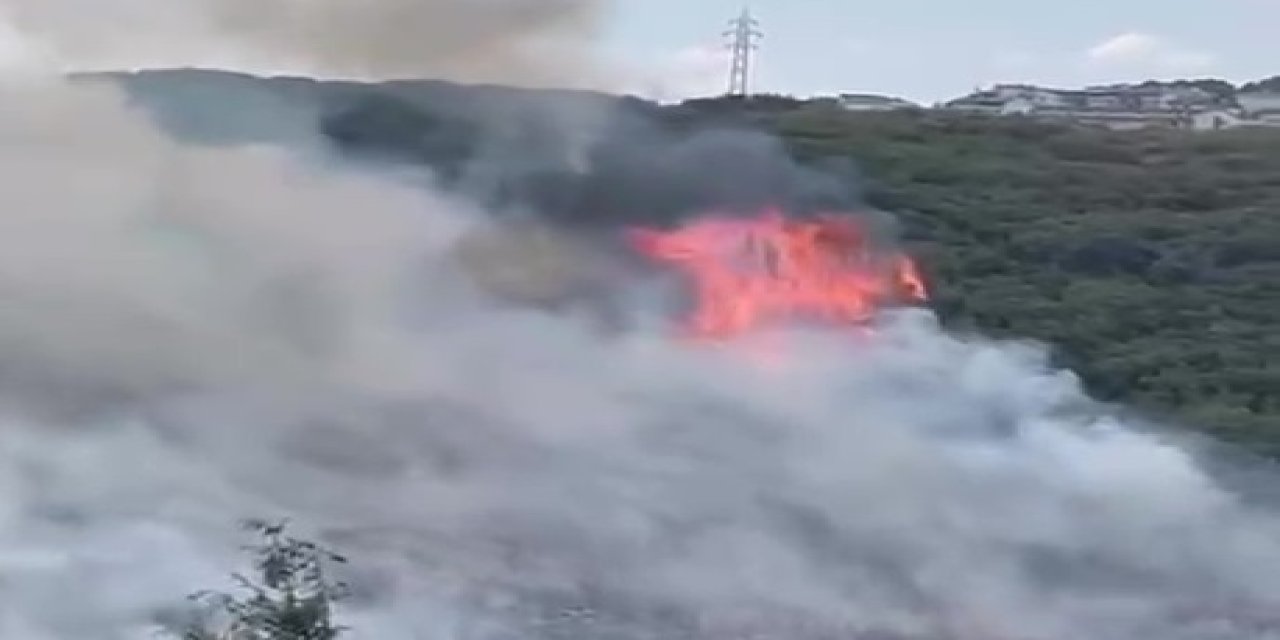 İzmit’te korkutan orman yangını
