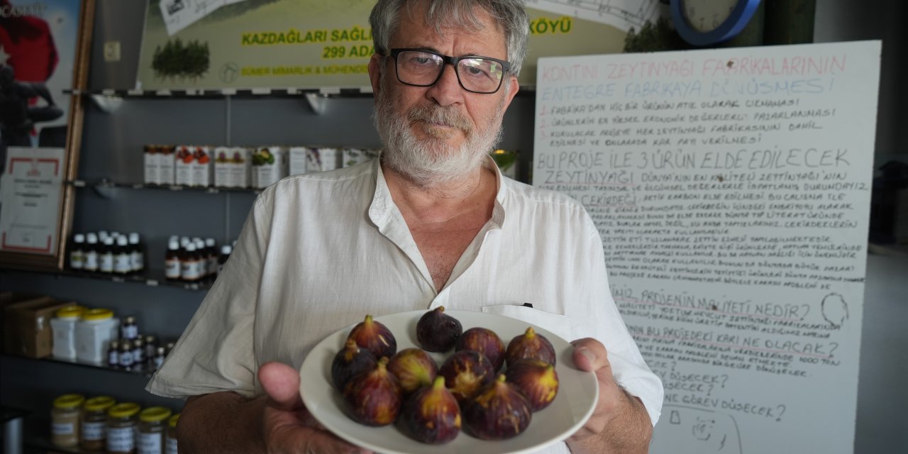 Daha sağlıklı yaşamak için  inciri kabuğu ile yiyin!