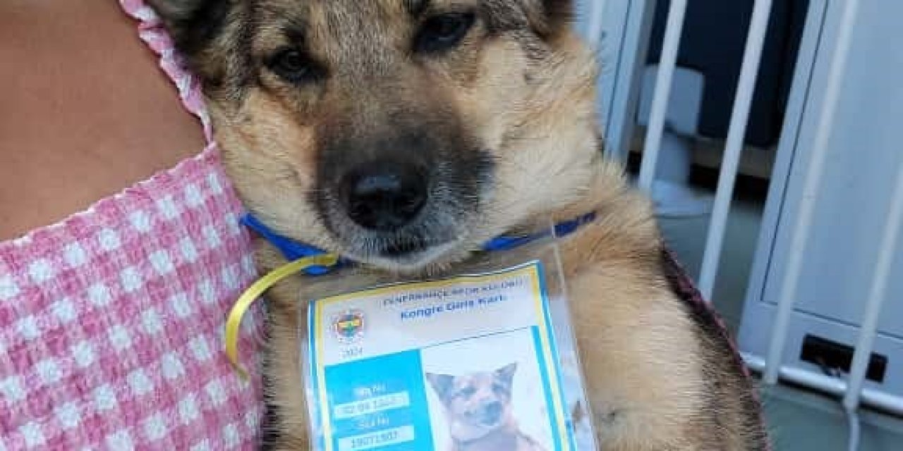 Fenerbahçe başkanlık seçiminde oy kullanma sona erdi