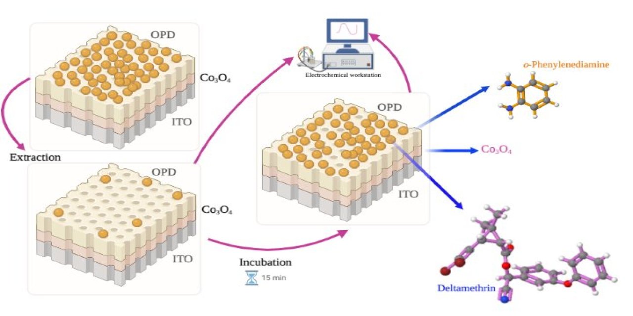 Gıda Güvenliği için Akıllı Sensör