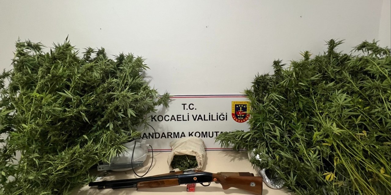 Kocaeli’de uyuşturucu operasyonu: Skunk ve silah ele geçirildi