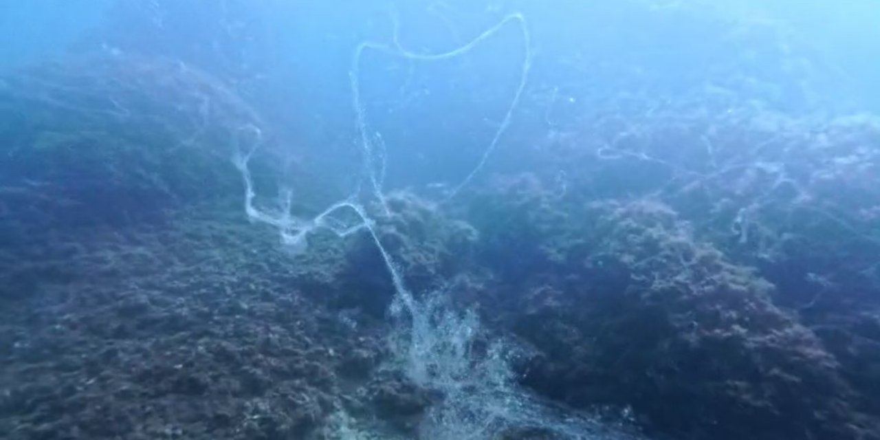 Marmara Denizi'nde yeni müsilaj alarmı