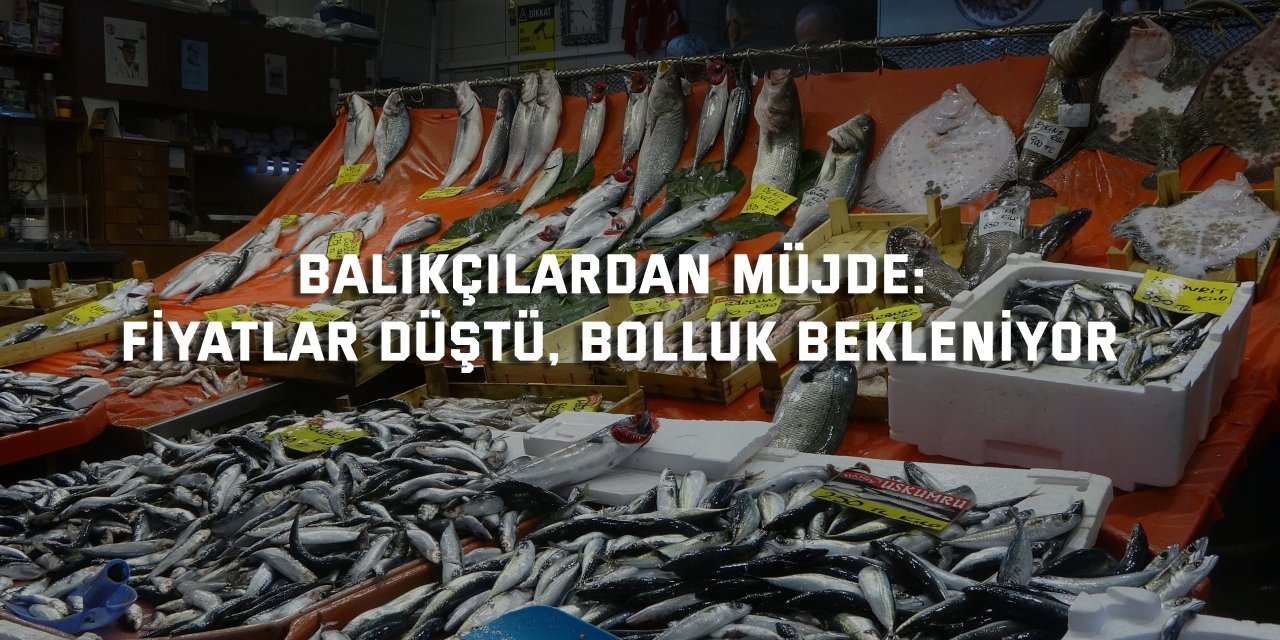 Balıkçılardan müjde: Fiyatlar düştü, ekimde bolluk bekleniyor