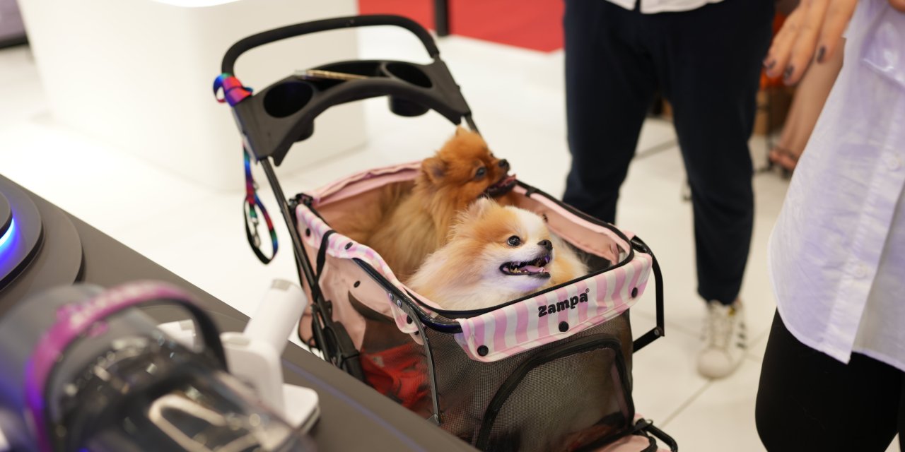 Petkit, Türkiye’nin En Büyük  Evcil Hayvan Ürünleri Fuarı’nda!