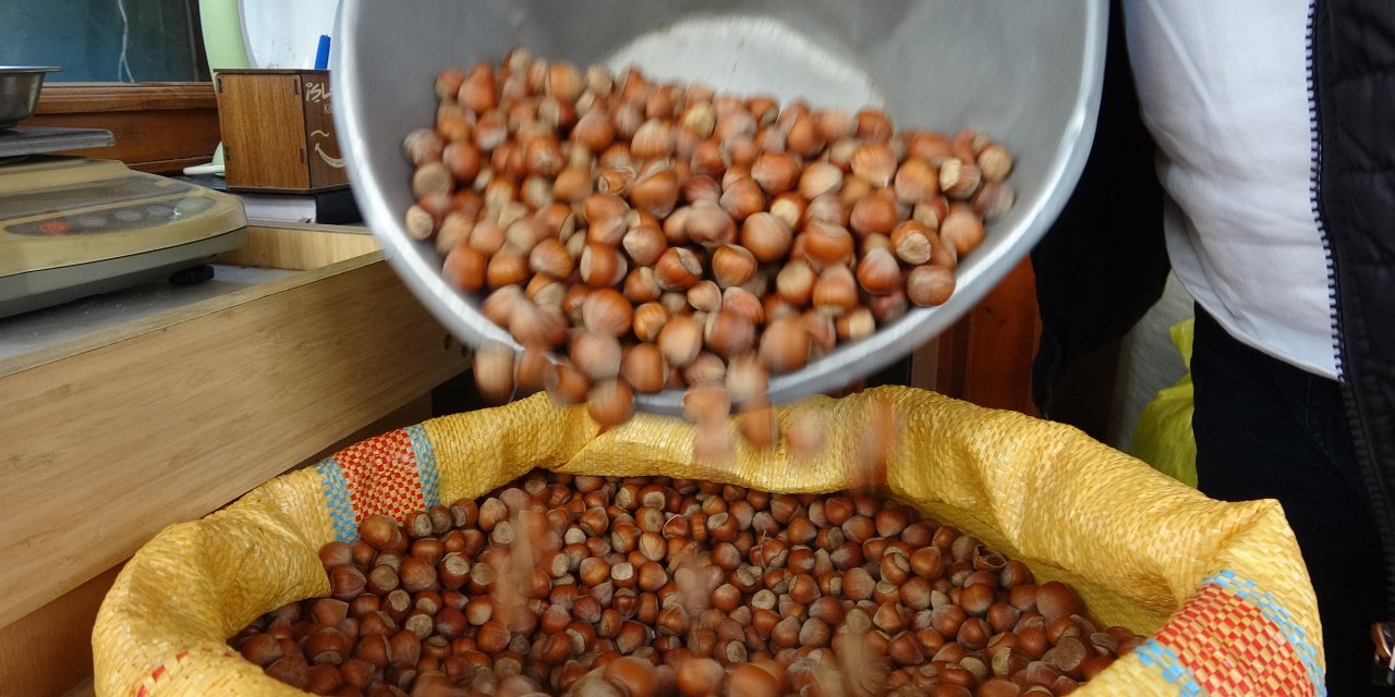 GİRESUN FINDIĞI ZİRVEDE:    Kilosu 352 TL’ye ulaştı