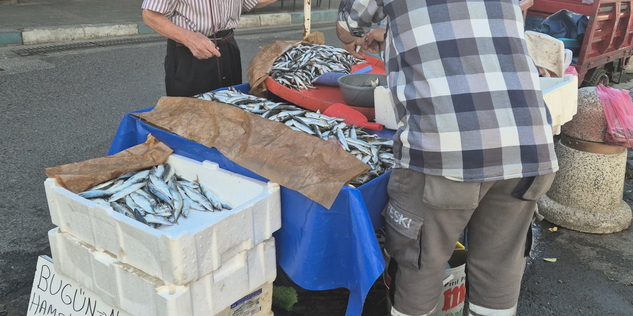 Seyyar balıkçı: "Bu senenin balığı sardalya"