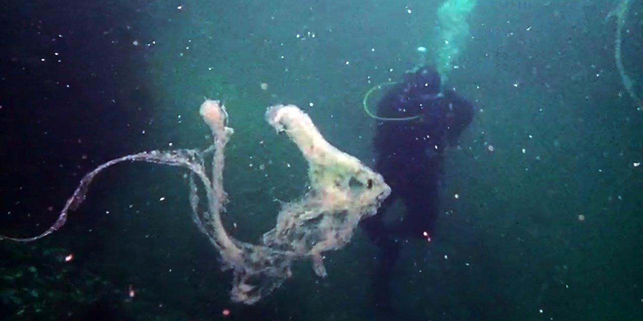 Marmara'da mercanlara müsilaj tehdidi