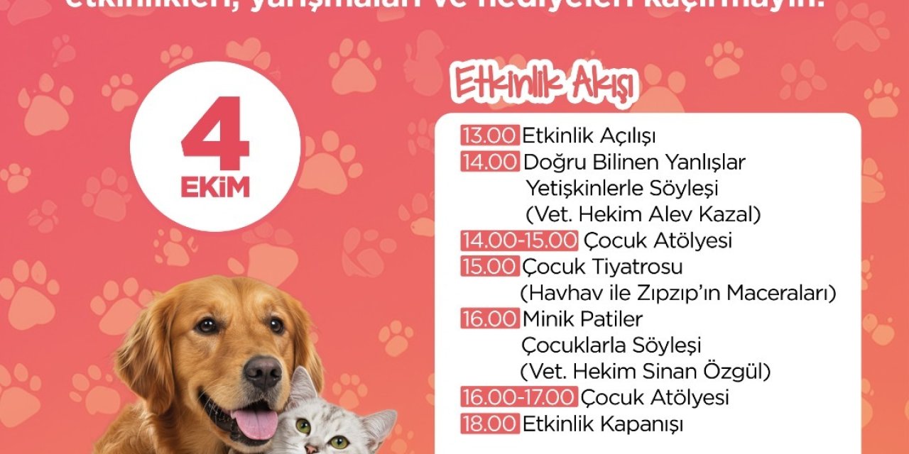 Şehrin ilk Pati Festivali İzmit’te başlıyor