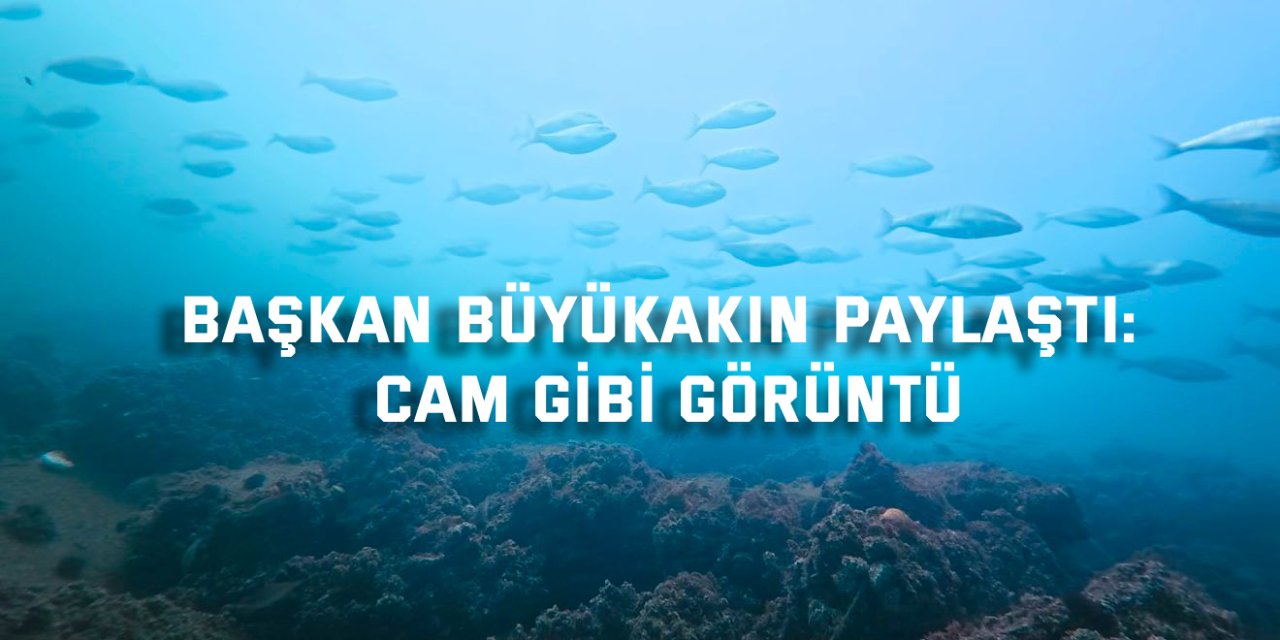 Başkan Büyükakın paylaştı: Cam gibi görüntü