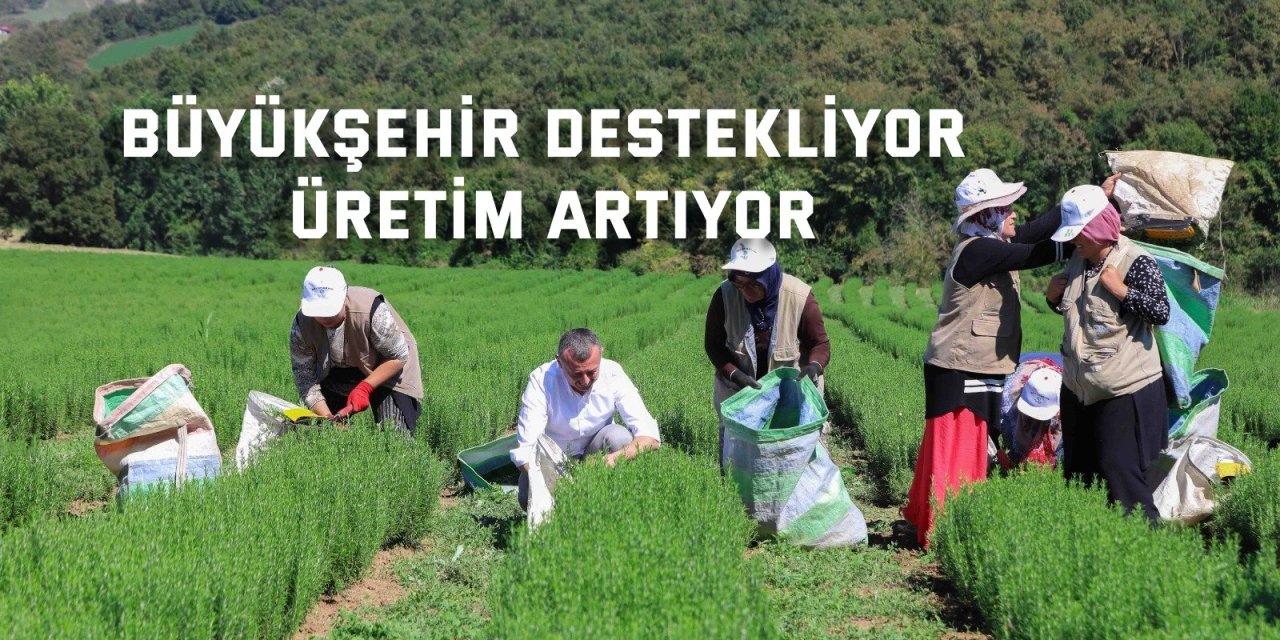 Büyükşehir destekliyor, üretim artıyor