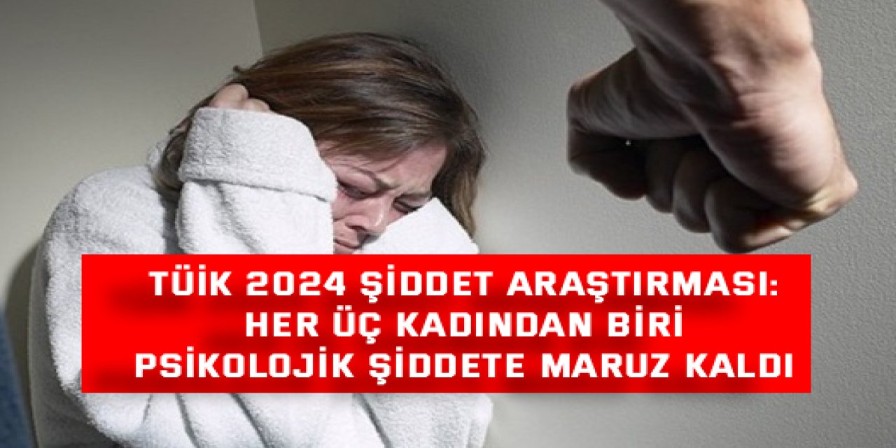 TÜİK 2024 ŞİDDET ARAŞTIRMASI:    Her Üç Kadından Biri  Psikolojik Şiddete Maruz Kaldı
