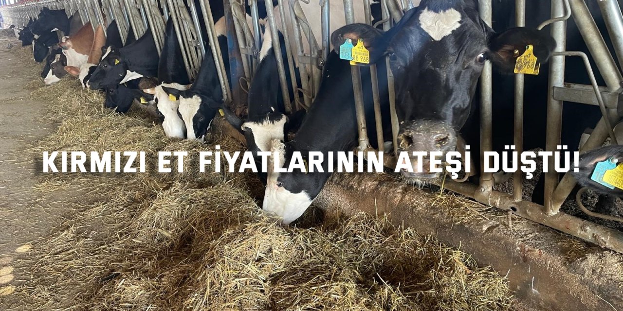 Kırmızı et fiyatlarının ateşi düştü!