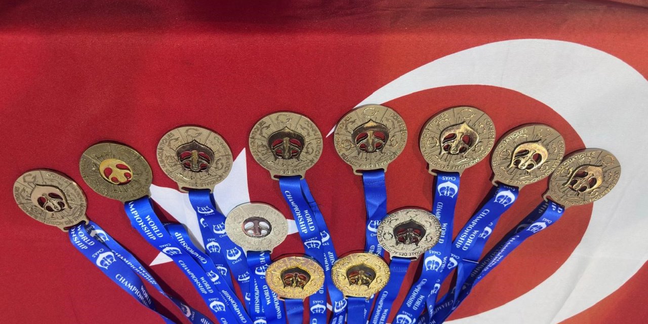 Sualtı Görüntüleme Milli Takımı,  bu yıl da dünya şampiyonu oldu