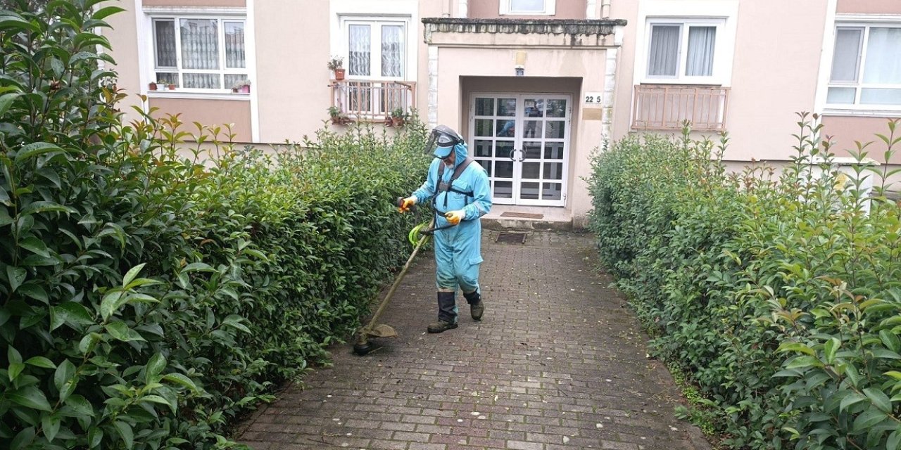 Başiskele’de yeşil alanlara bakım