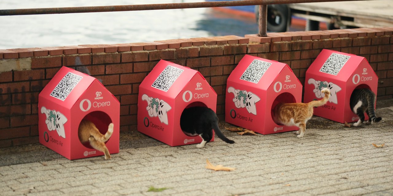 “Kedi Mahallesi” güçler birleştirildi