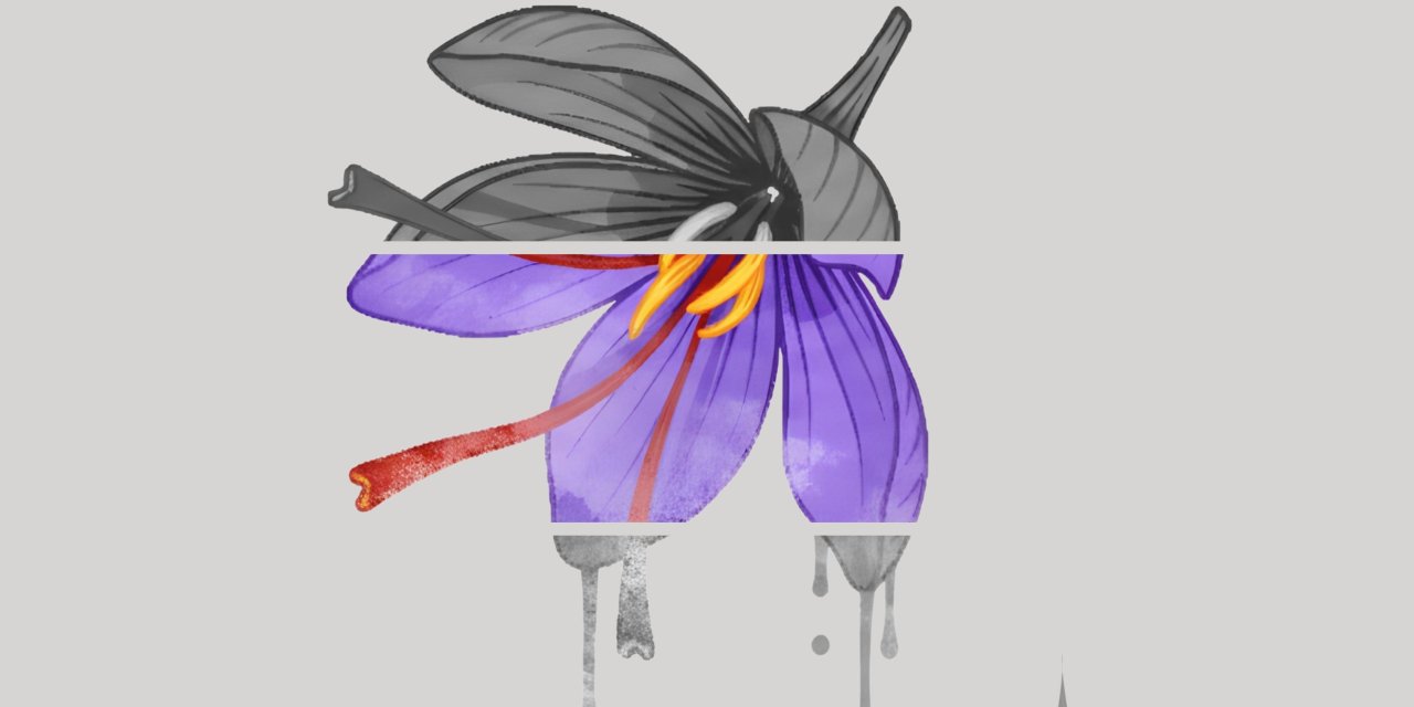 Gelenekten geleceğe uzanan kültürel bir yolculuk