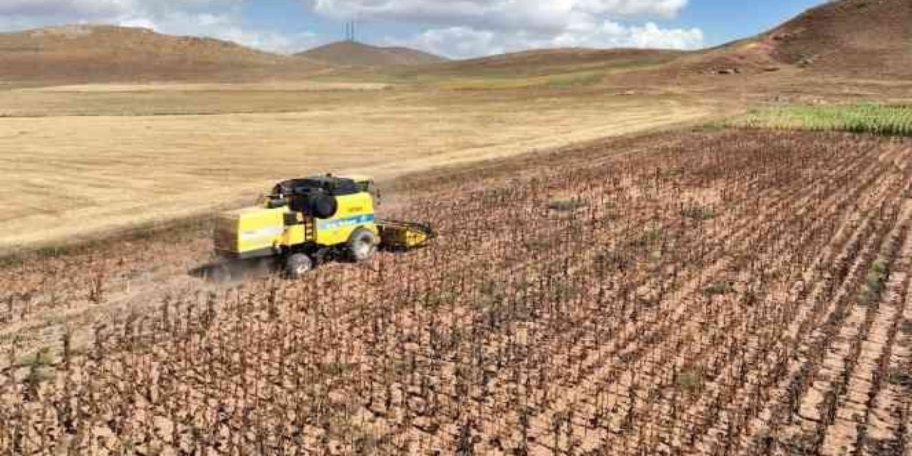 Tarım-GFE yıllık yüzde 34,09 arttı