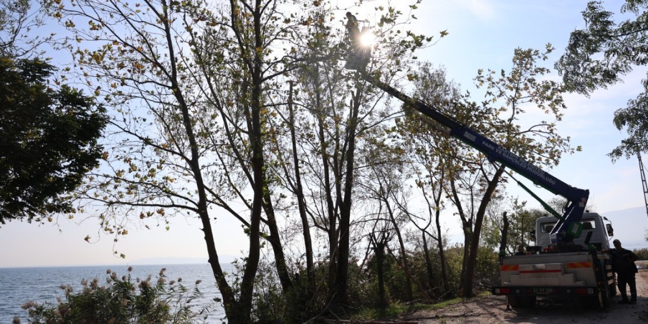 Kartepe'de yeşil alanlara bakım yapılıyor