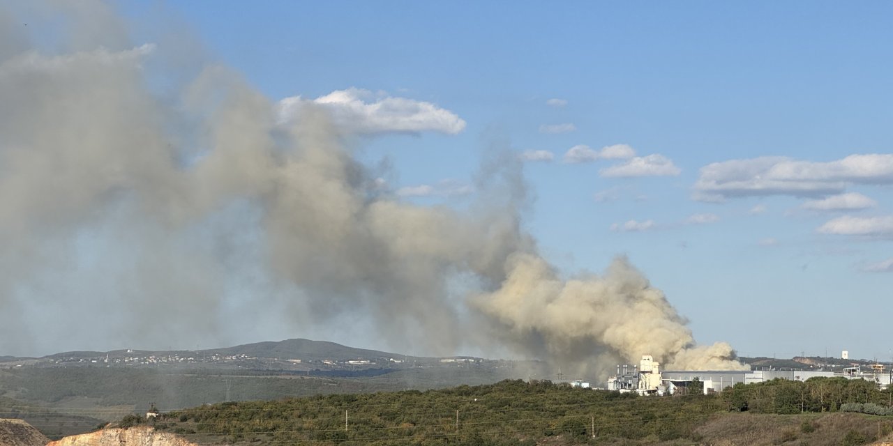 Fabrika bahçesinde korkutan yangın