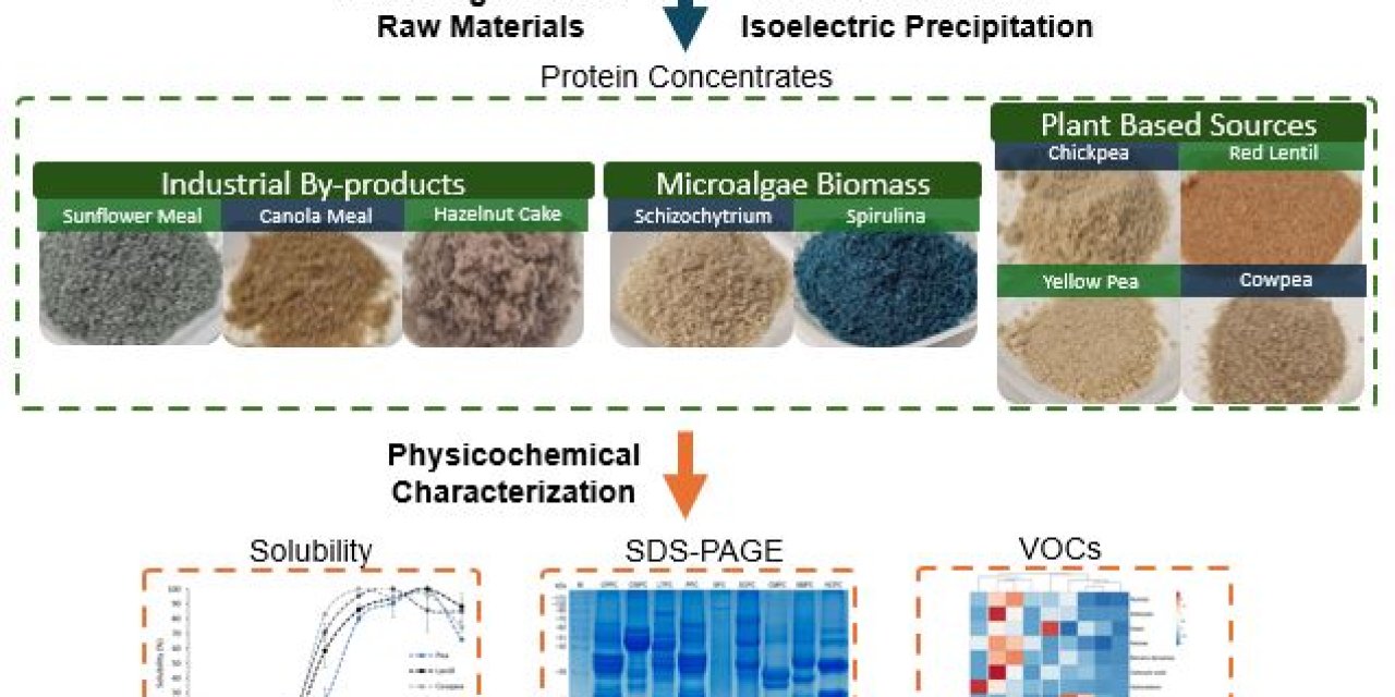GTÜ’den Sürdürülebilir Protein  Konsantrelerinin Üretimi