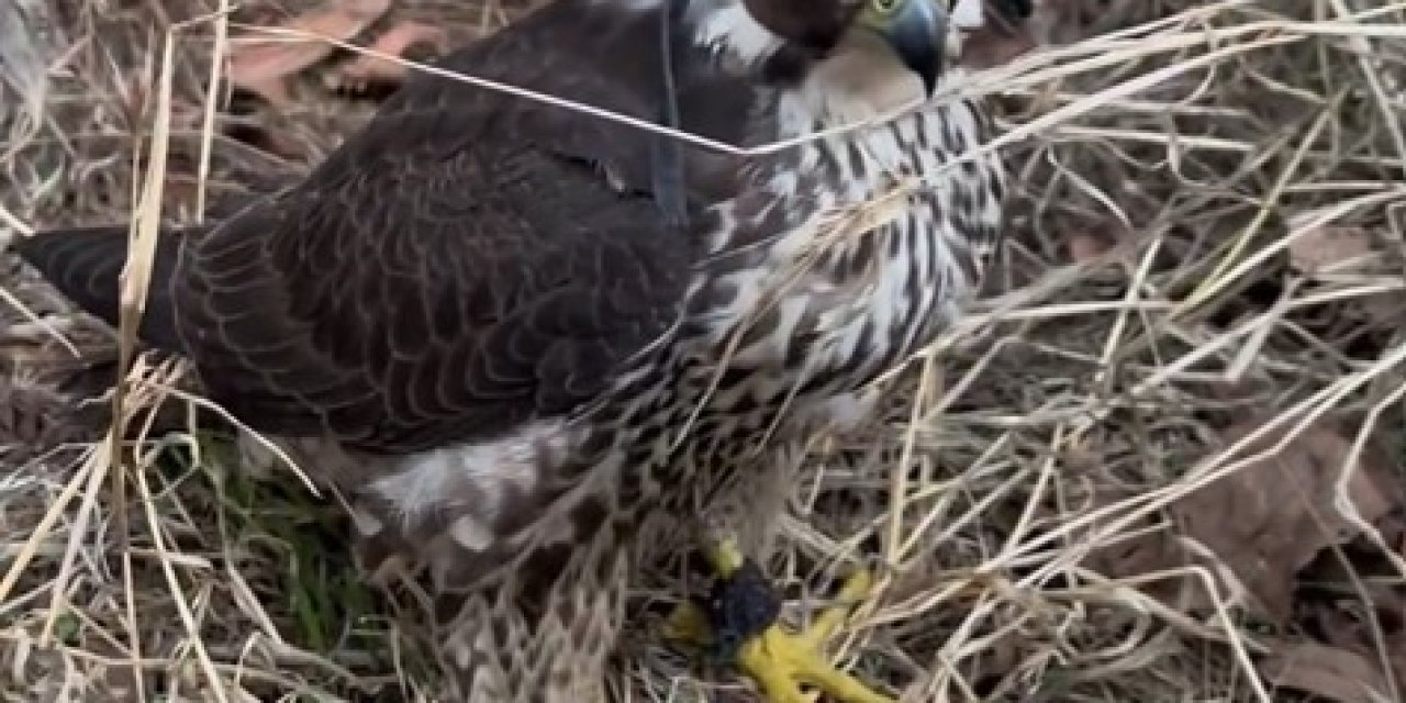 2 kişiye 1 milyon 524 bin lira ceza!