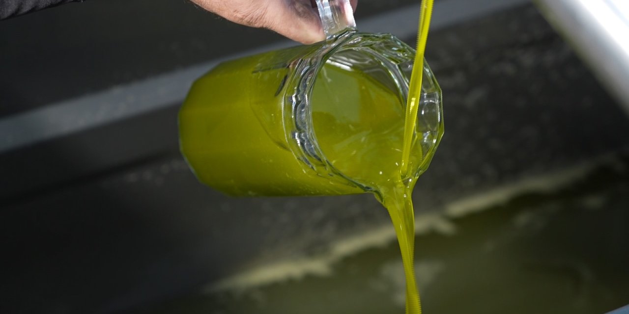 Zeytinyağında taklit ve tağşiş  üreticiye zarar veriyor’