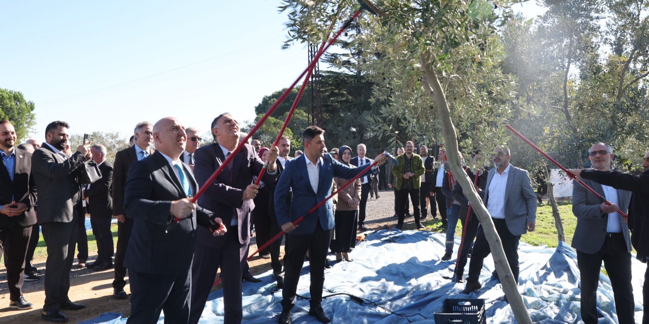 Darıca Belediyesi’nden Doğaya ve Üretime Değer Katan Proje