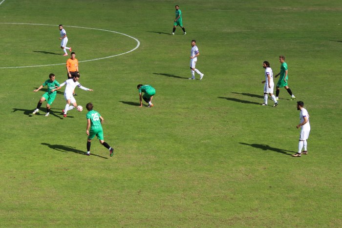 Menekşe sıkı çalışıyor