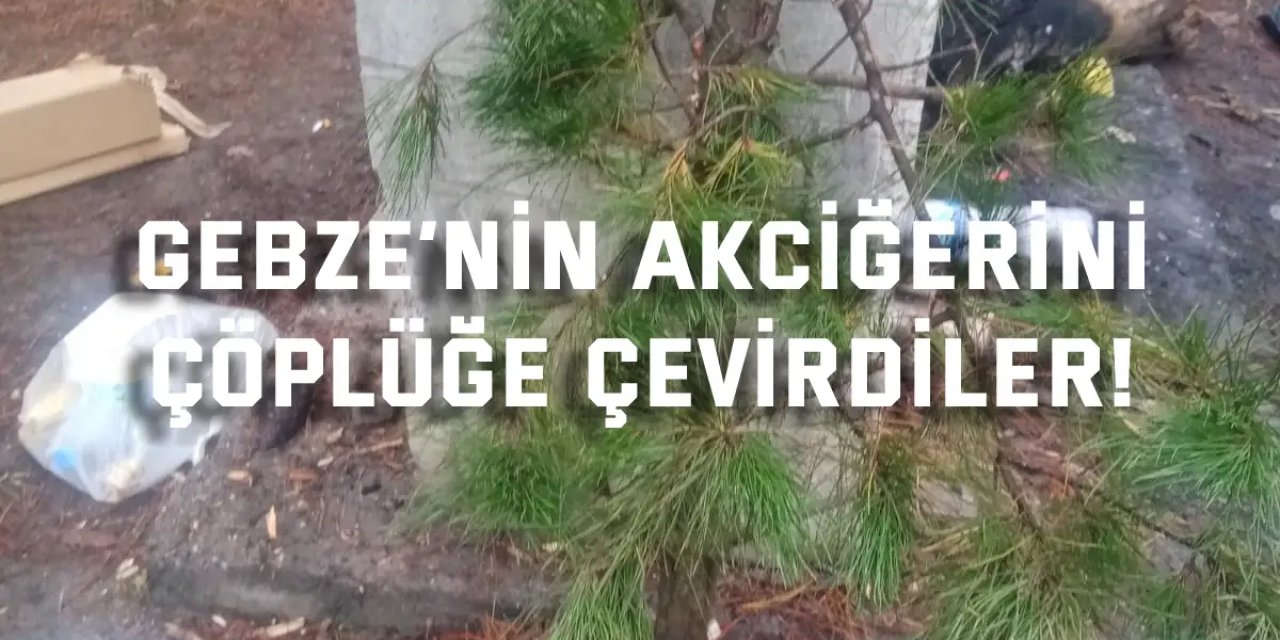 Gebze’nin akciğerini  çöplüğe çevirdiler!