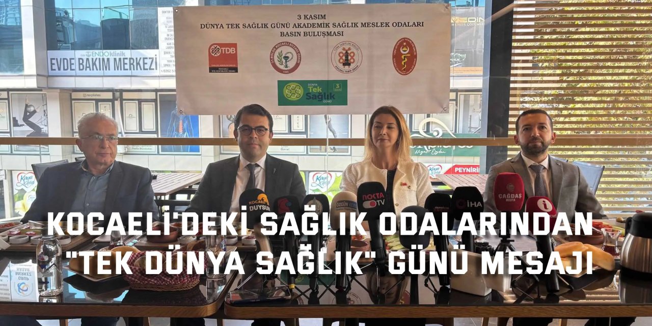 Kocaeli'deki sağlık odalarından  "Tek Dünya Sağlık" günü mesajı