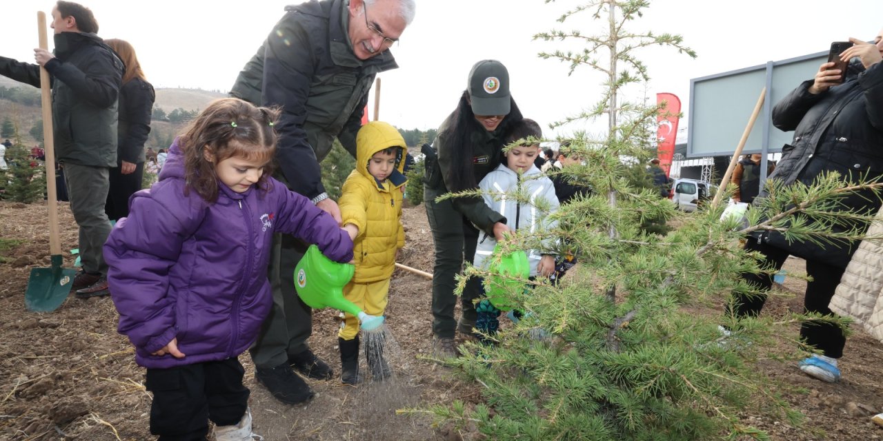 OGM, Milli Ağaçlandırma Günü  için tüm hazırlıkları tamamladı