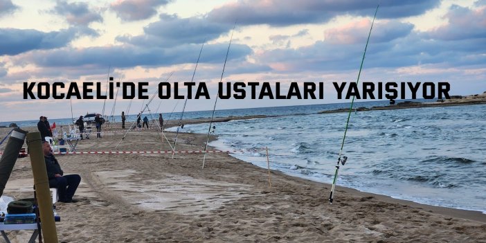 Kocaeli'de olta ustaları yarışıyor