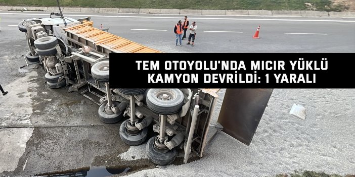 TEM Otoyolu'nda mıcır yüklü kamyon devrildi: 1 yaralı