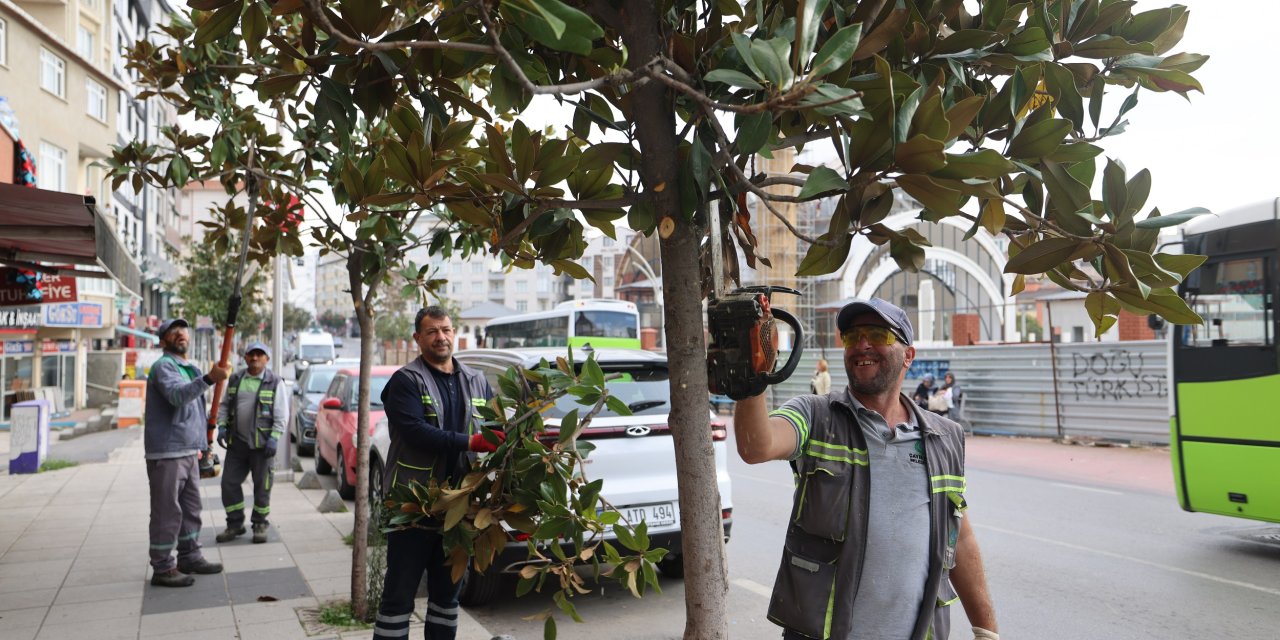 Çayırova’da mevsimlik  budama çalışmaları