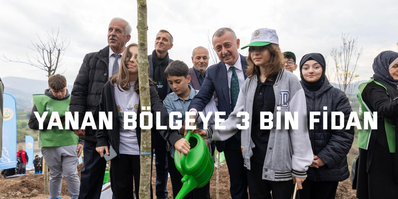 Yanan bölgeye 3 bin fidan
