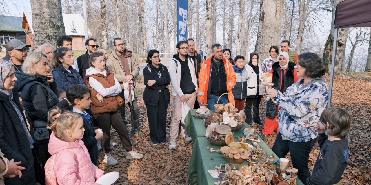 Kuzuyayla’da mantarların gizemli dünyası