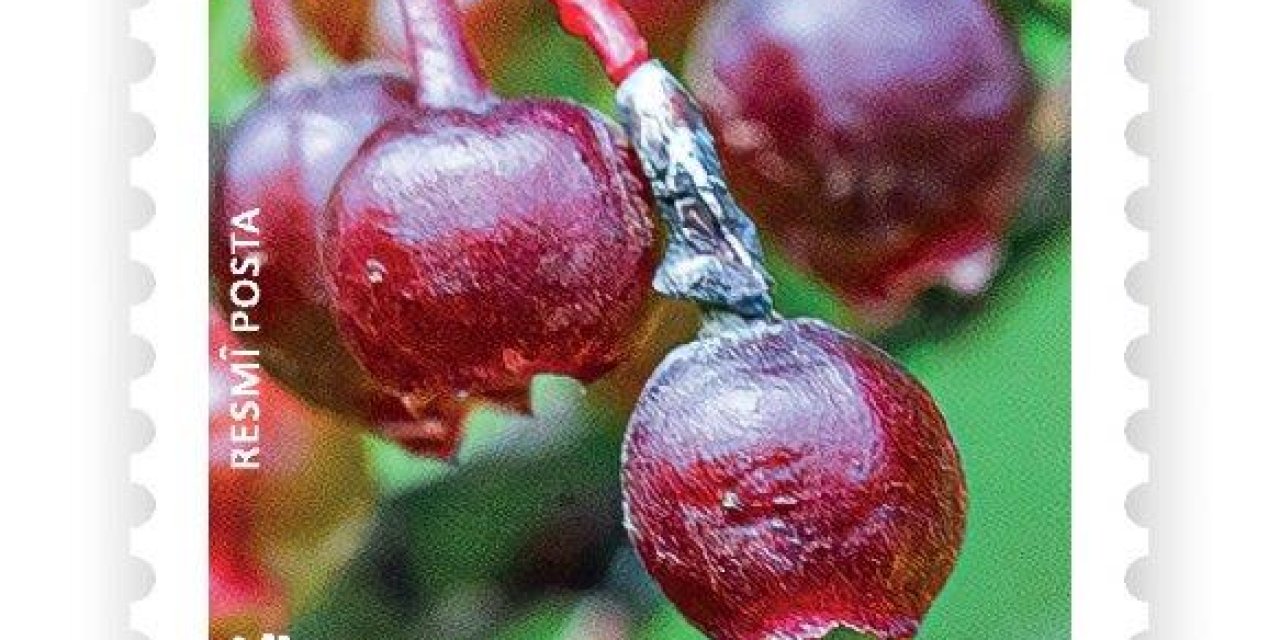 PTT'den Yeni Resmî Posta Pulu