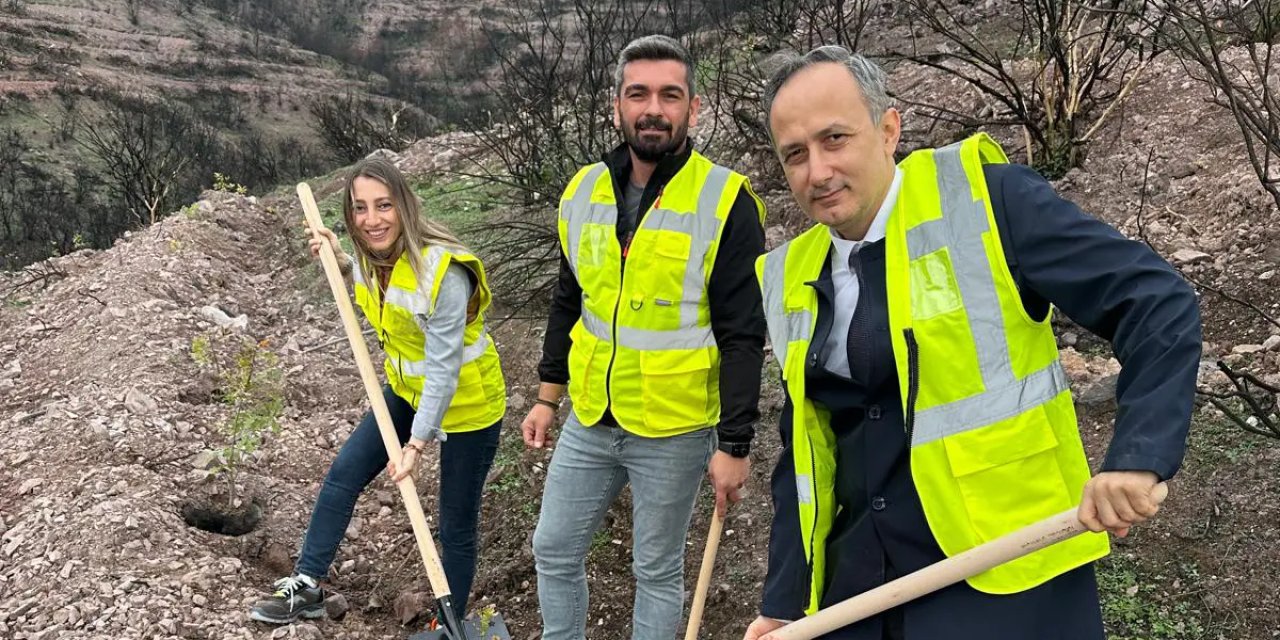 SEDAŞ, 500 Fidan Dikti