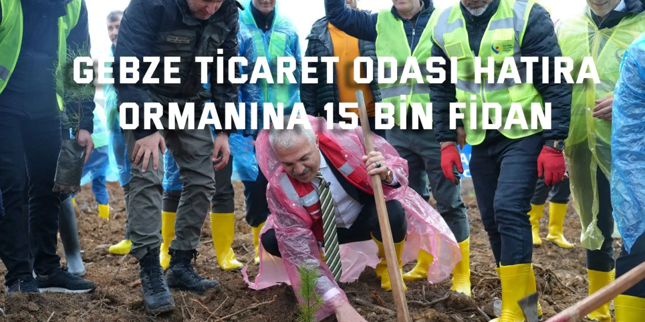 Gebze Ticaret Odası Hatıra  Ormanına 15 Bin Fidan