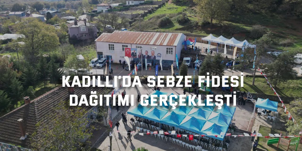 Kadıllı’da Sebze Fidesi  Dağıtımı Gerçekleşti
