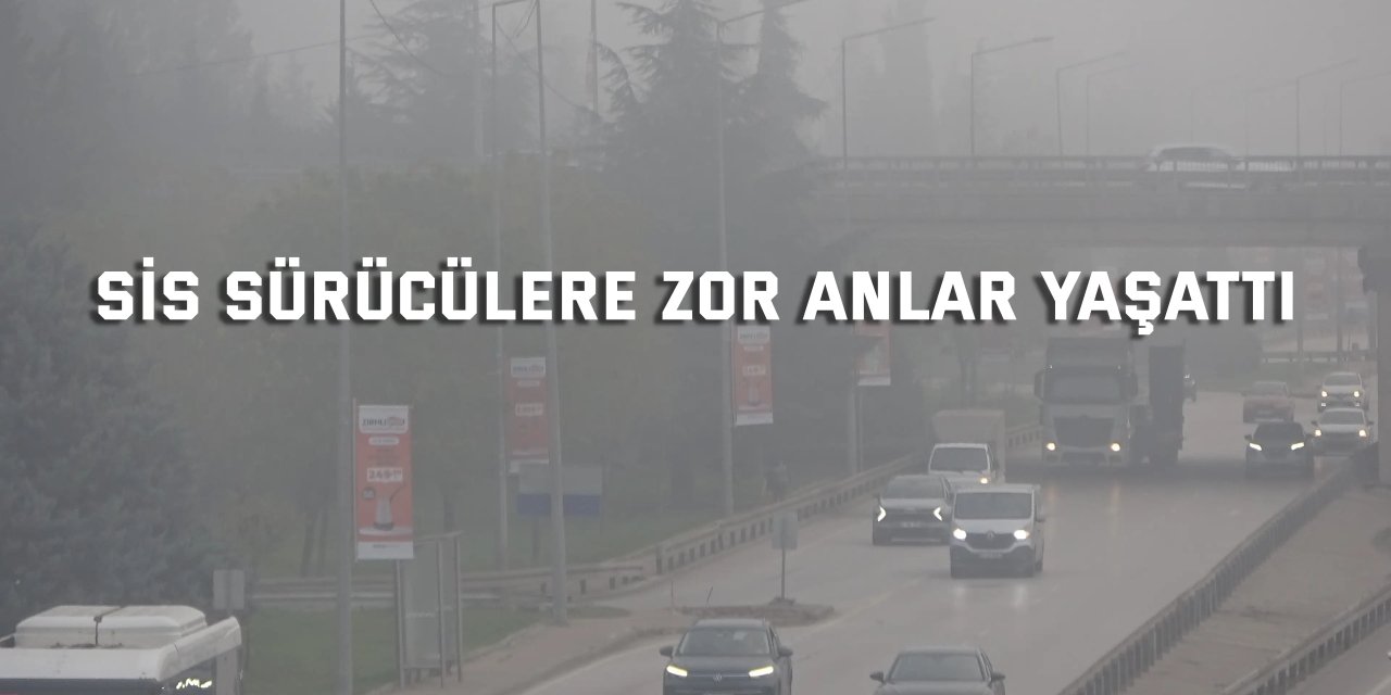 Kocaeli'deki sis sürücülere zor anlar yaşattı