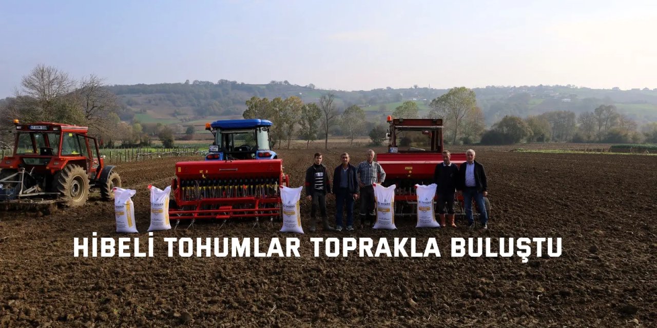 Hibeli tohumlar toprakla buluştu